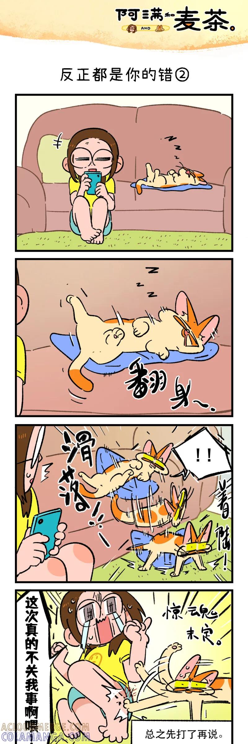 第256话-阿满和麦茶-新漫画 日胖大海寺（第3张）