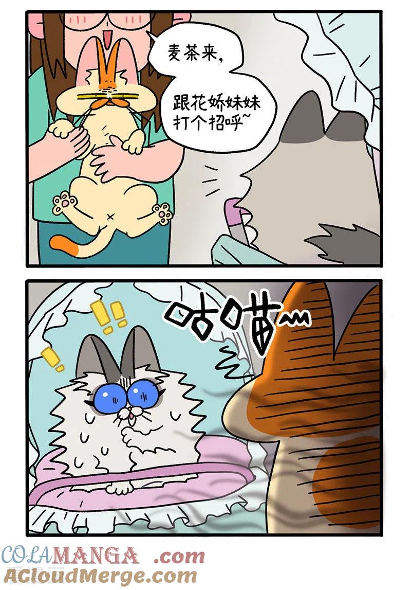 第33话医院偶遇-阿满和麦茶-新漫画 日胖大海寺（第2张）