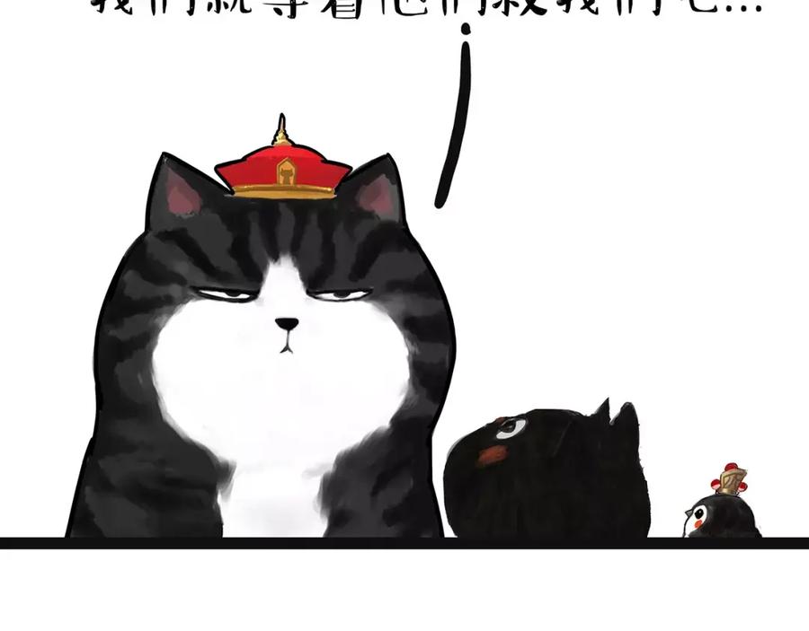 50.jpg