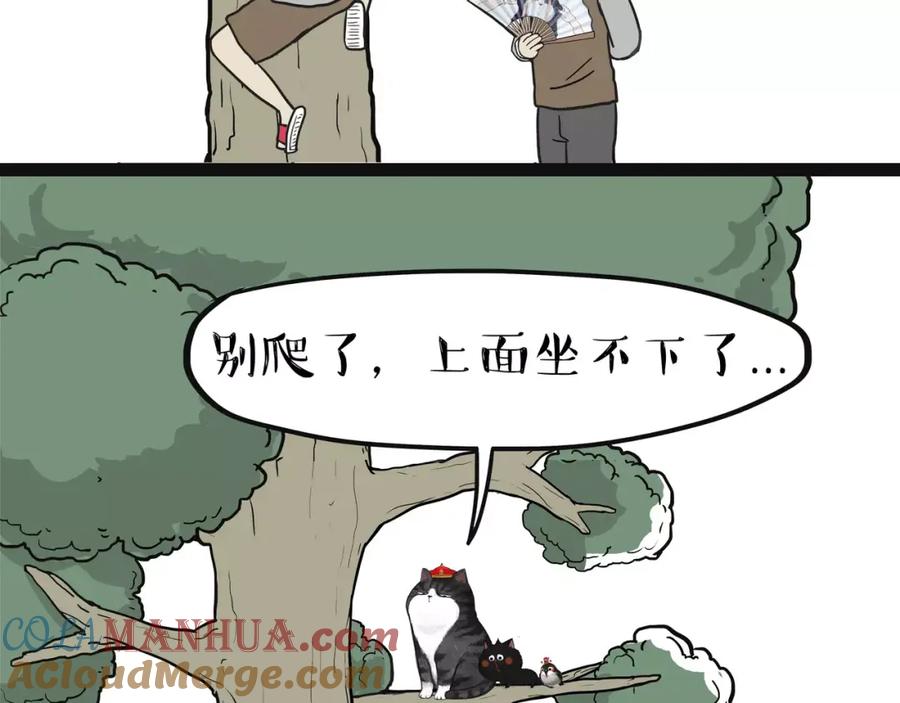 34.jpg