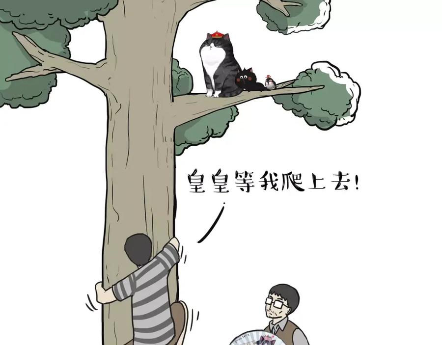 33.jpg