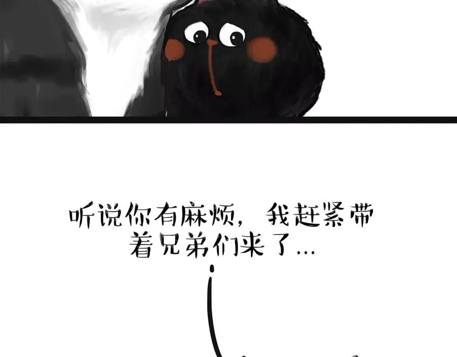 41.jpg