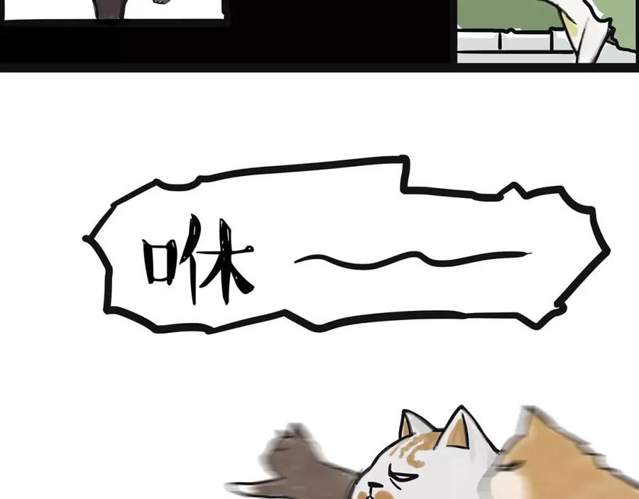 44.jpg