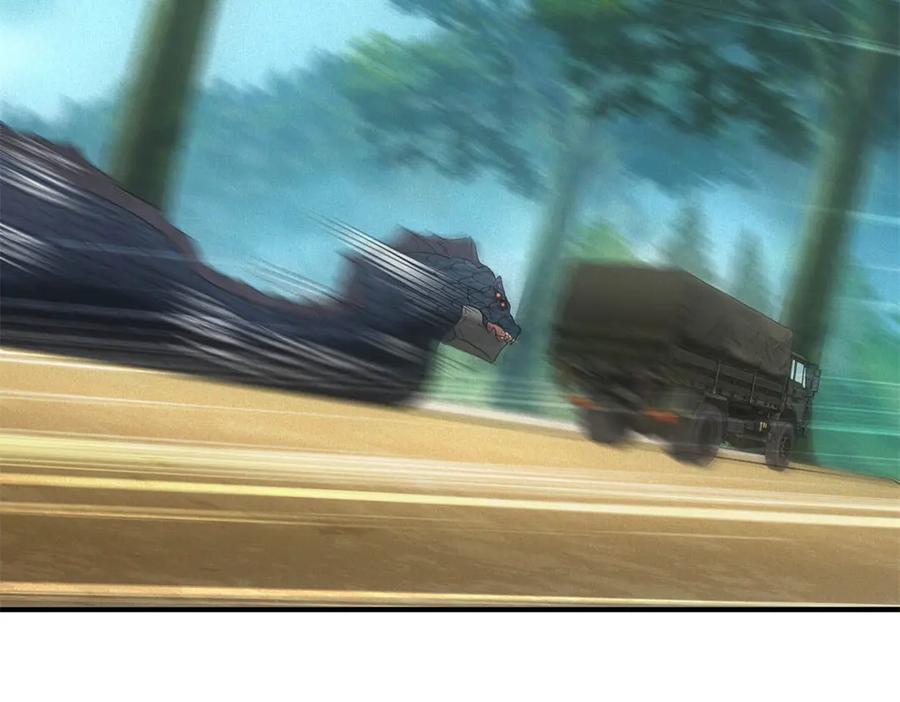 79.jpg