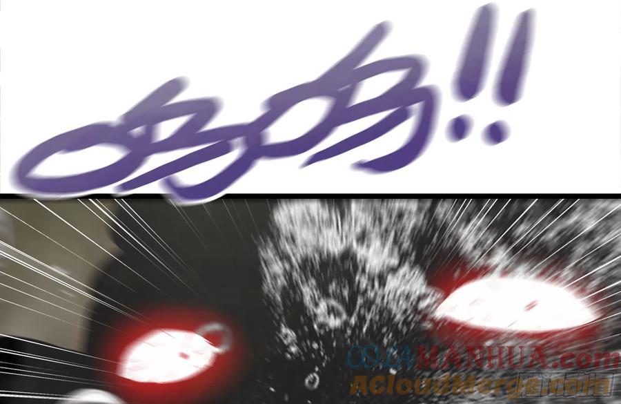 82.jpg