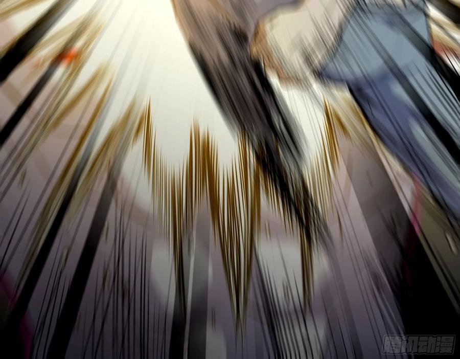 41.jpg