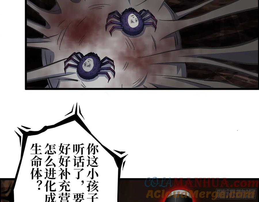 43.jpg