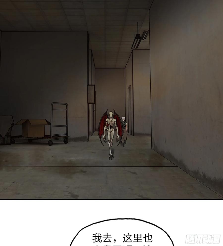 43.jpg