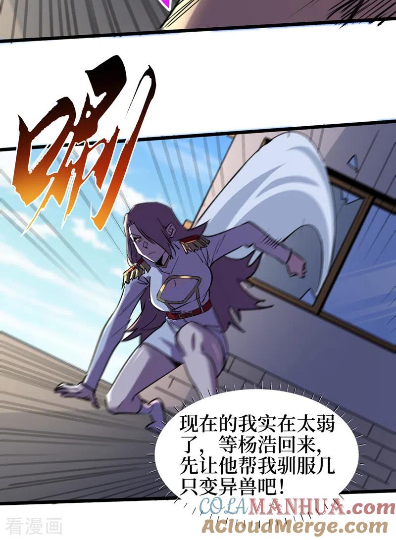 11.jpg