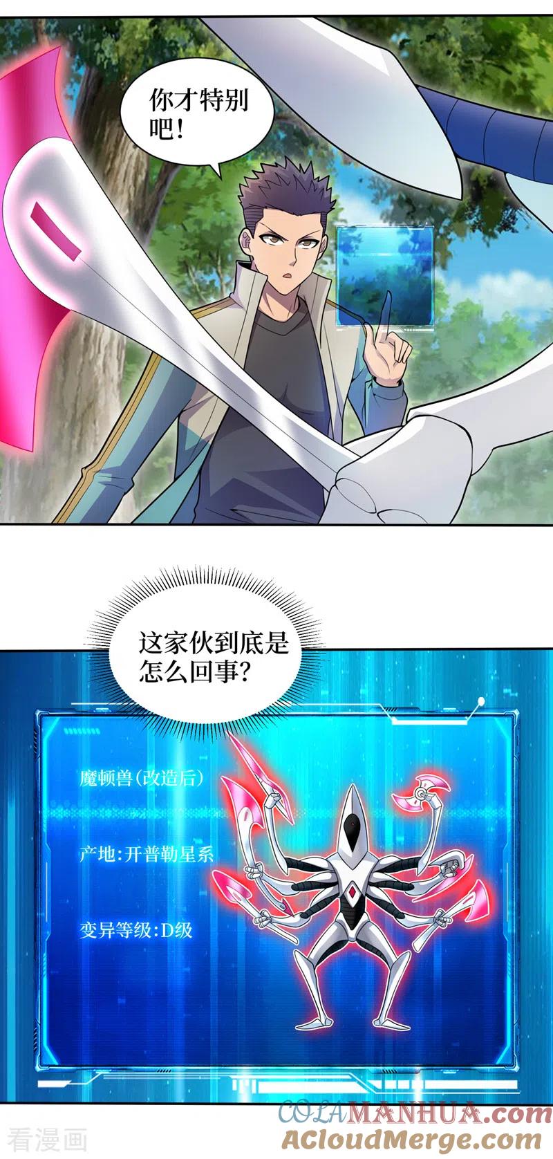 17.jpg