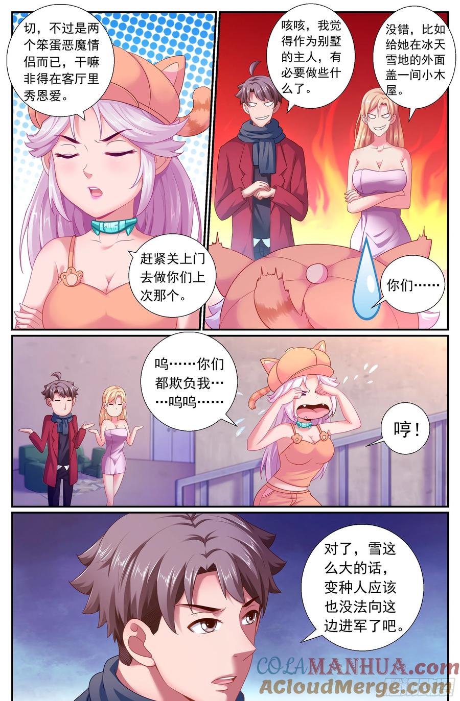 5.jpg