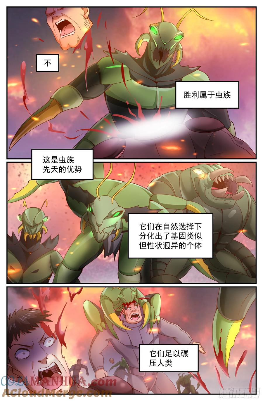 2.jpg