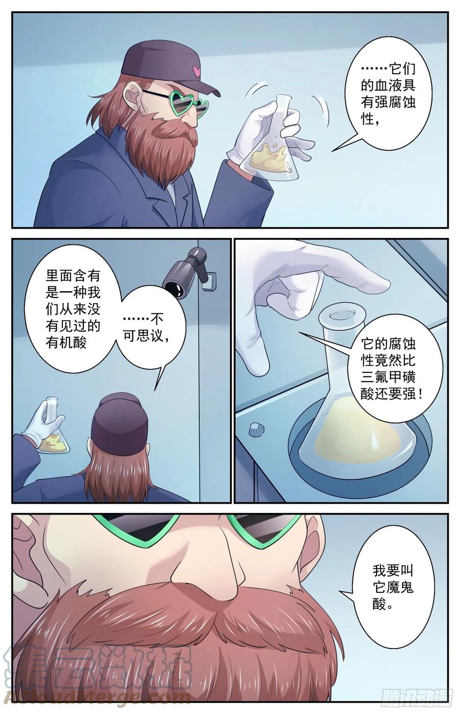 13.jpg