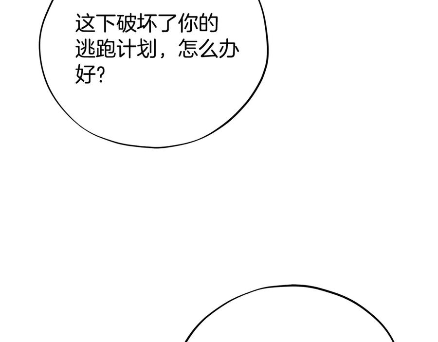 144.jpg