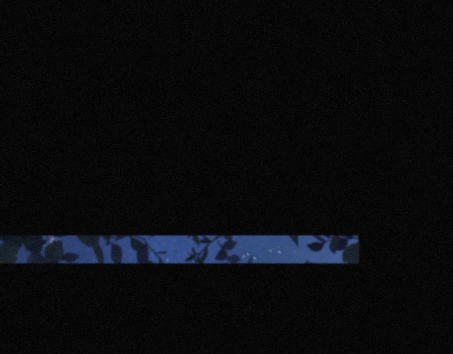 96.jpg