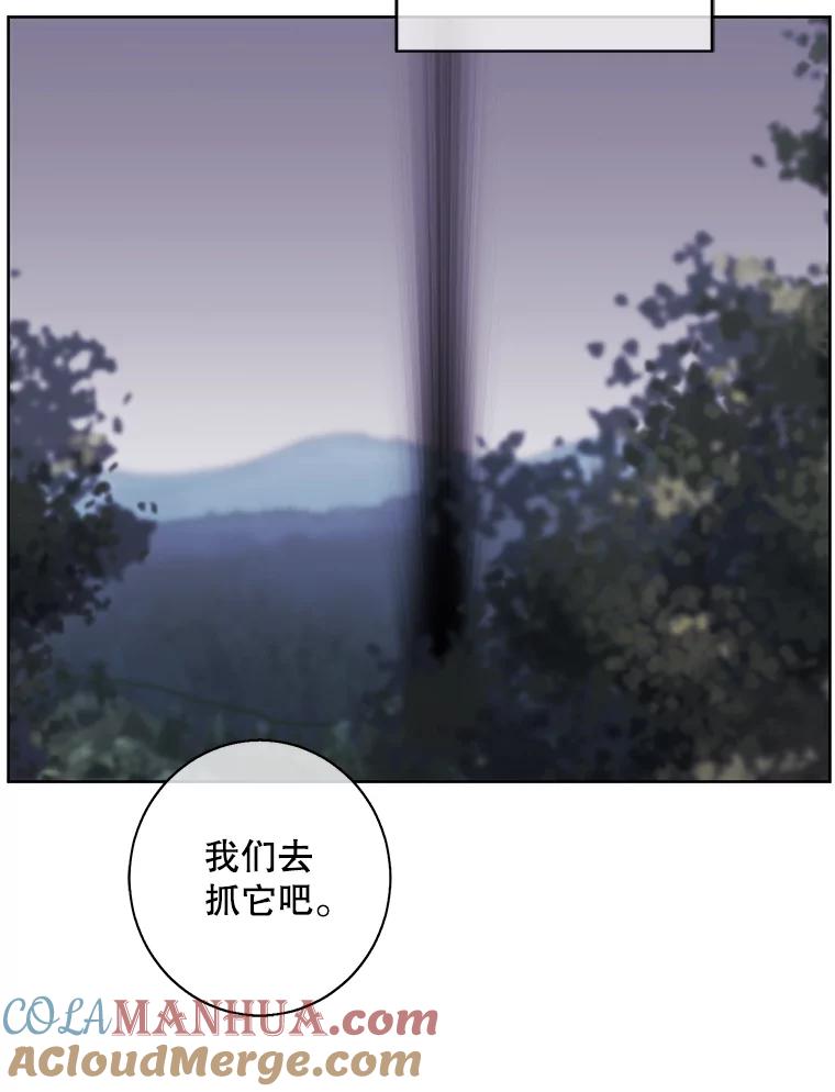 70.jpg