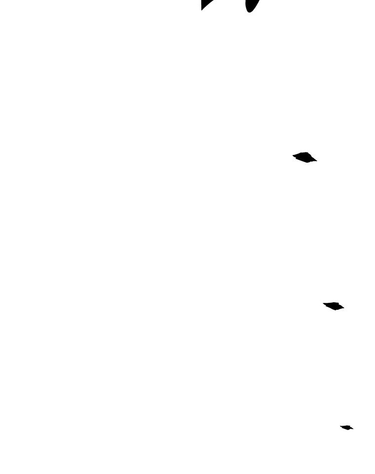 104.jpg