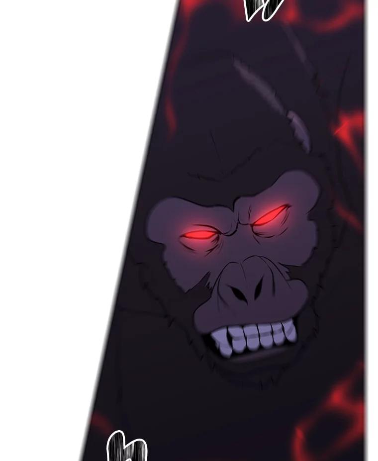 69.jpg