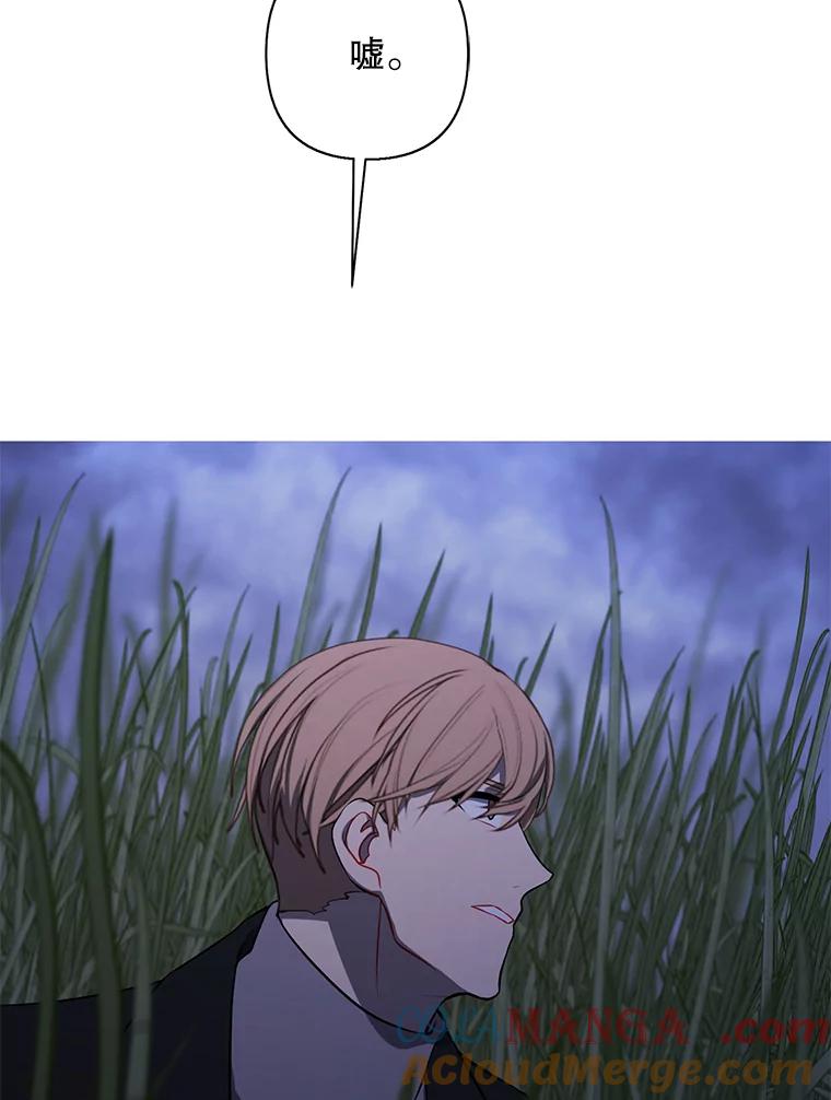 81.jpg