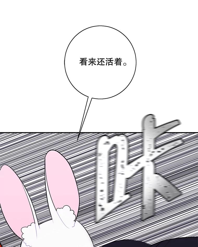 75.jpg