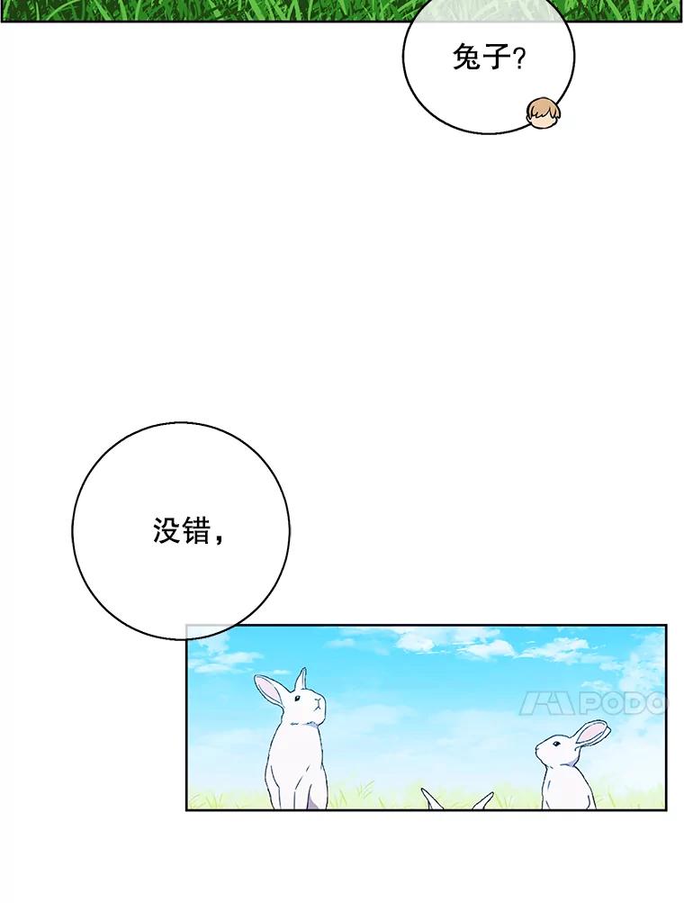 91.jpg