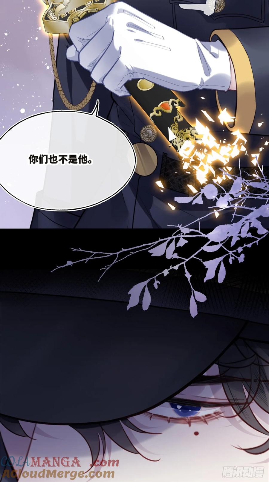 双花：4、舞会-他未曾坠落-鹿溪 x 云霜堂文化（第13张）