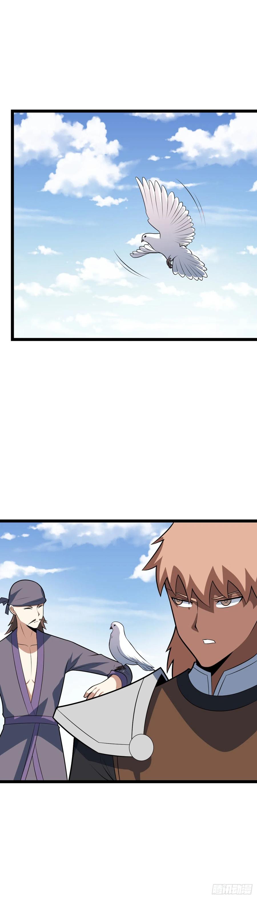 16.jpg