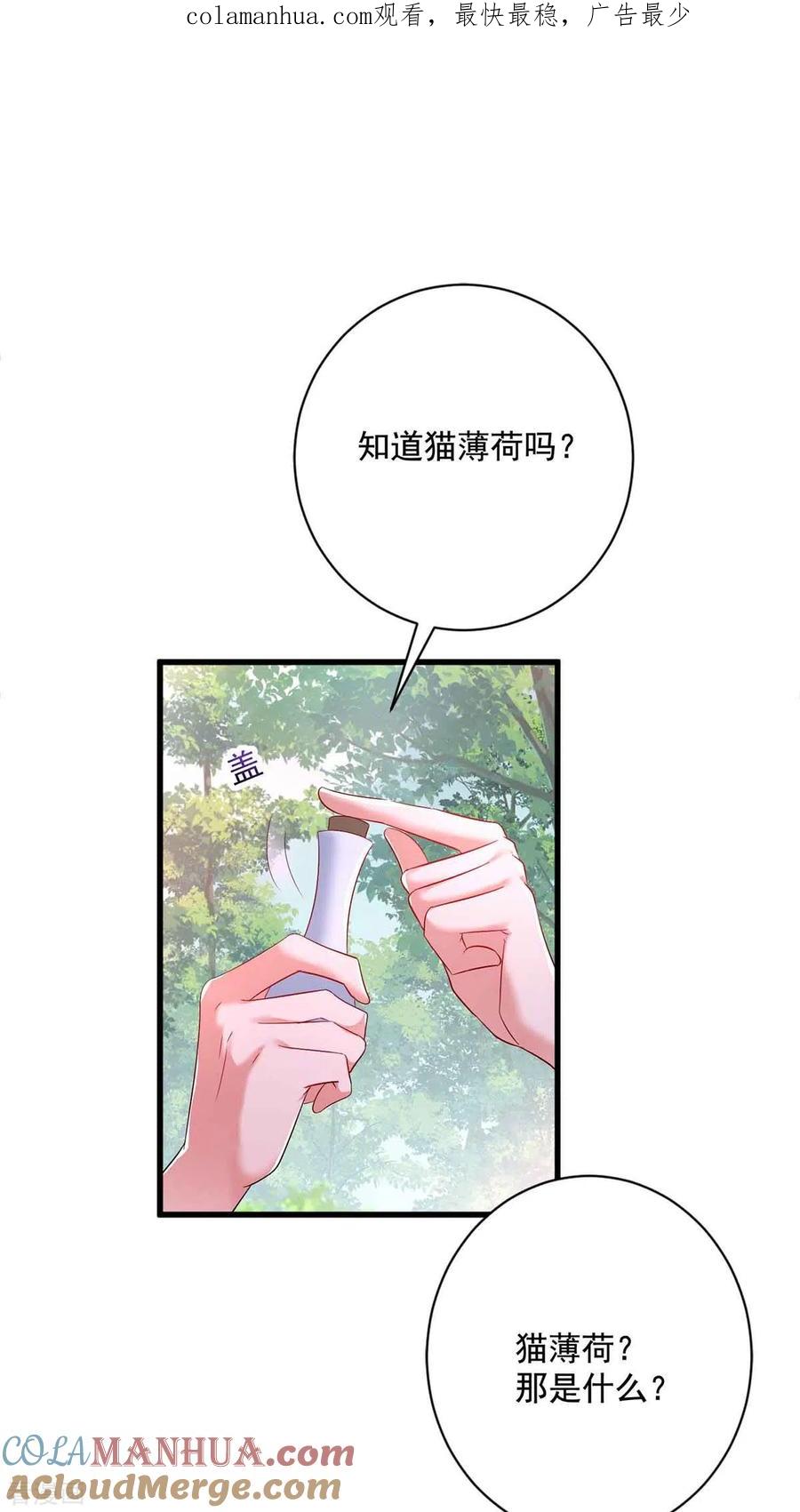 第109话二级灵兽-我在异界养男神：神医九小姐-掌阅文化（第1张）