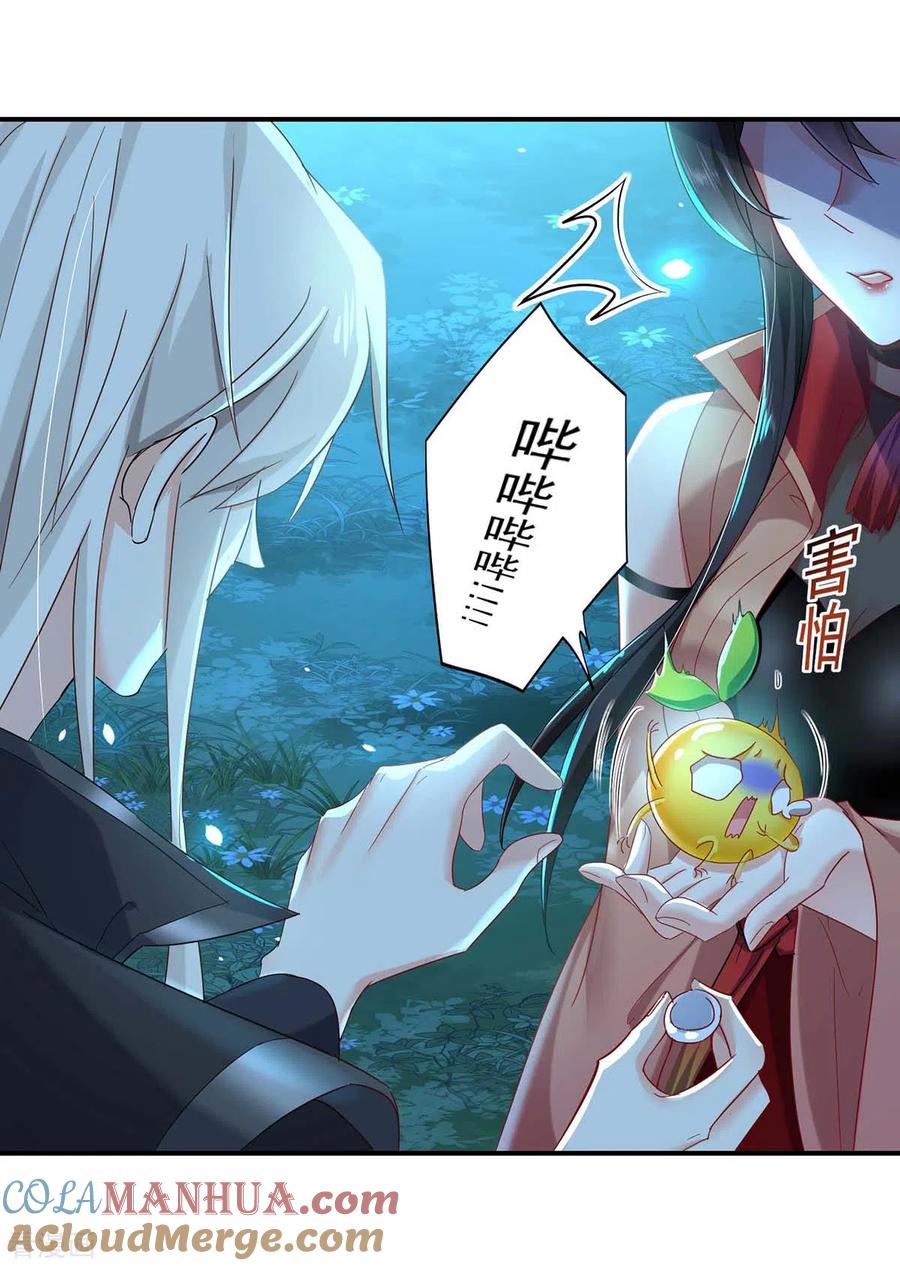 第136话玉种-我在异界养男神：神医九小姐-掌阅文化（第29张）