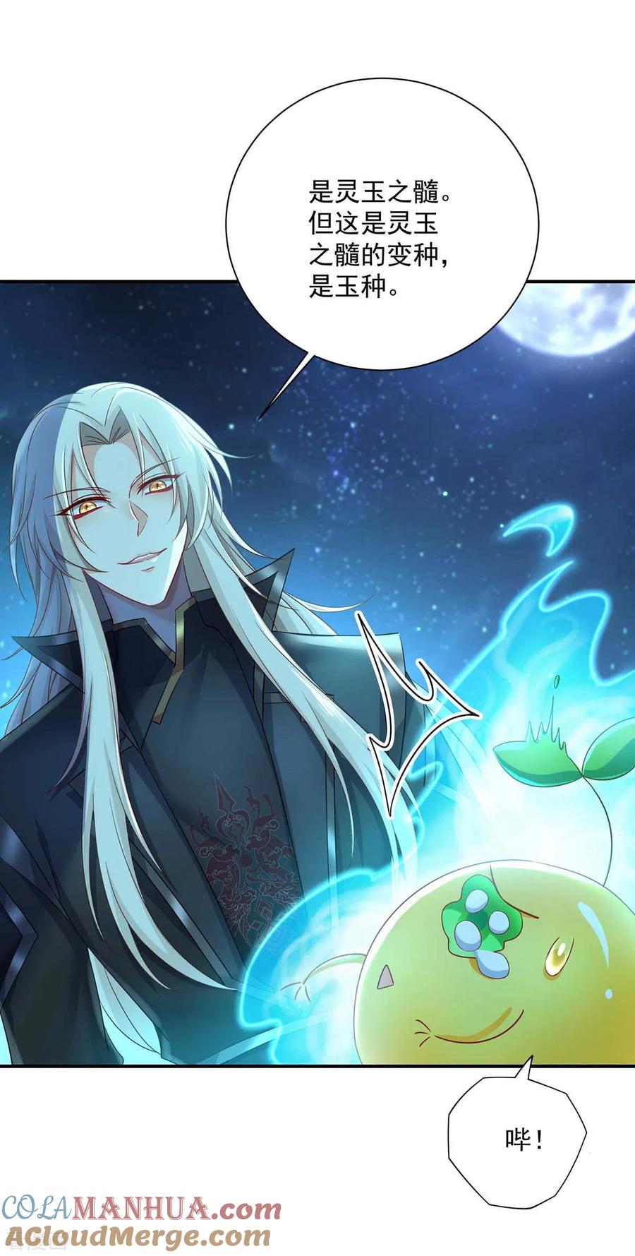 第136话玉种-我在异界养男神：神医九小姐-掌阅文化（第25张）