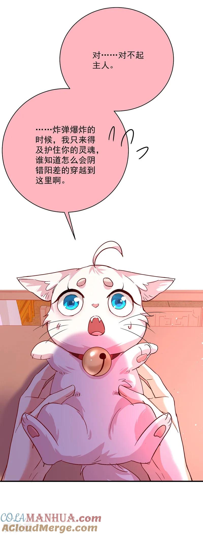第14话原主前生-我在异界养男神：神医九小姐-掌阅文化（第11张）