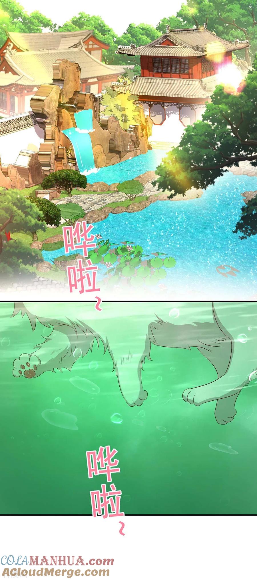 第151话你是来看我的？-我在异界养男神：神医九小姐-掌阅文化（第3张）