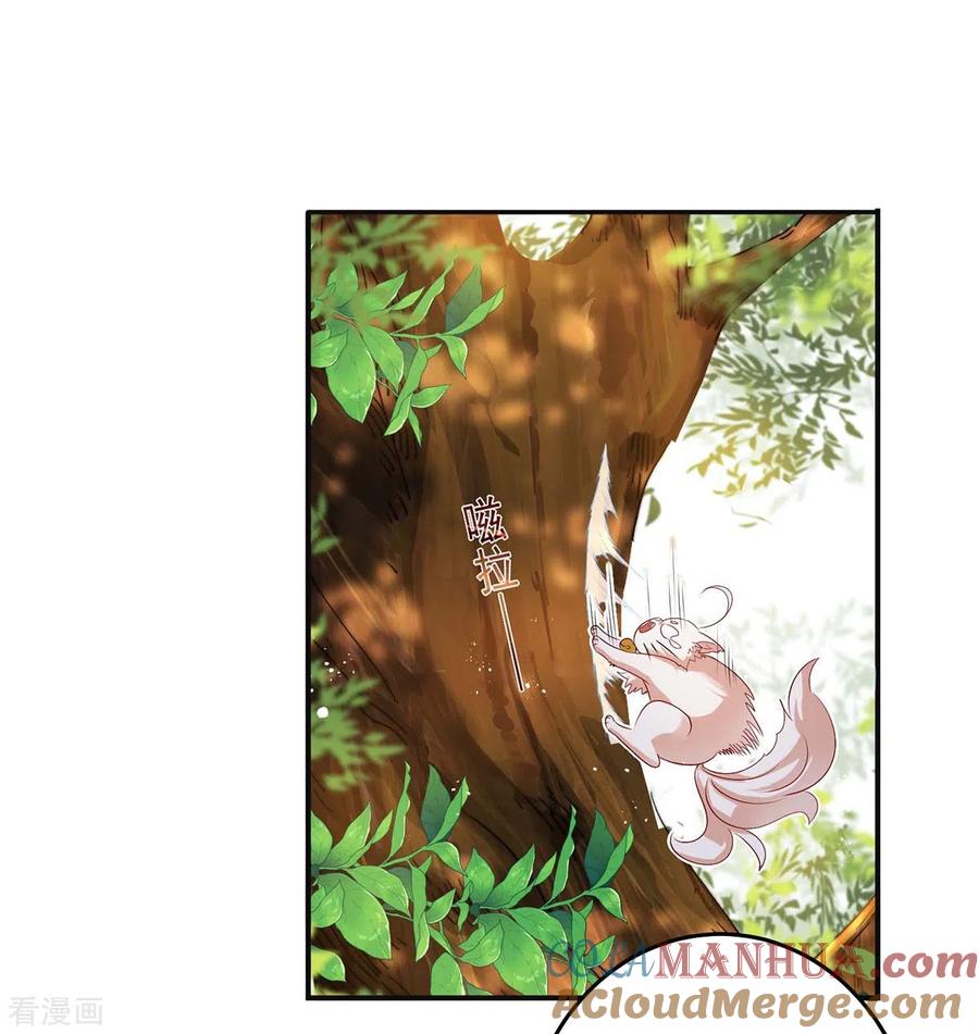 第156话我的时间都属于你-我在异界养男神：神医九小姐-掌阅文化（第9张）