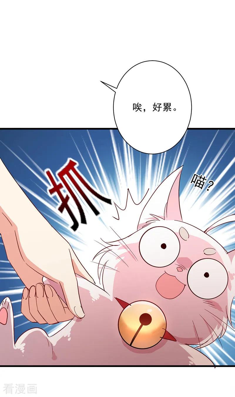 第15话丫鬟碧萝-我在异界养男神：神医九小姐-掌阅文化（第14张）
