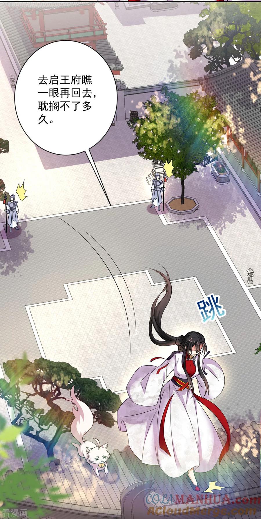 第181话凤天启之死-我在异界养男神：神医九小姐-掌阅文化（第25张）