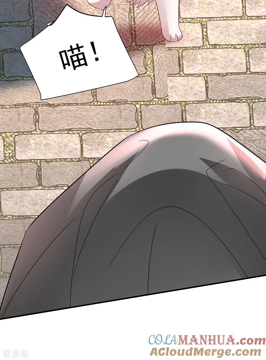 第227话鱼铒-我在异界养男神：神医九小姐-掌阅文化（第19张）