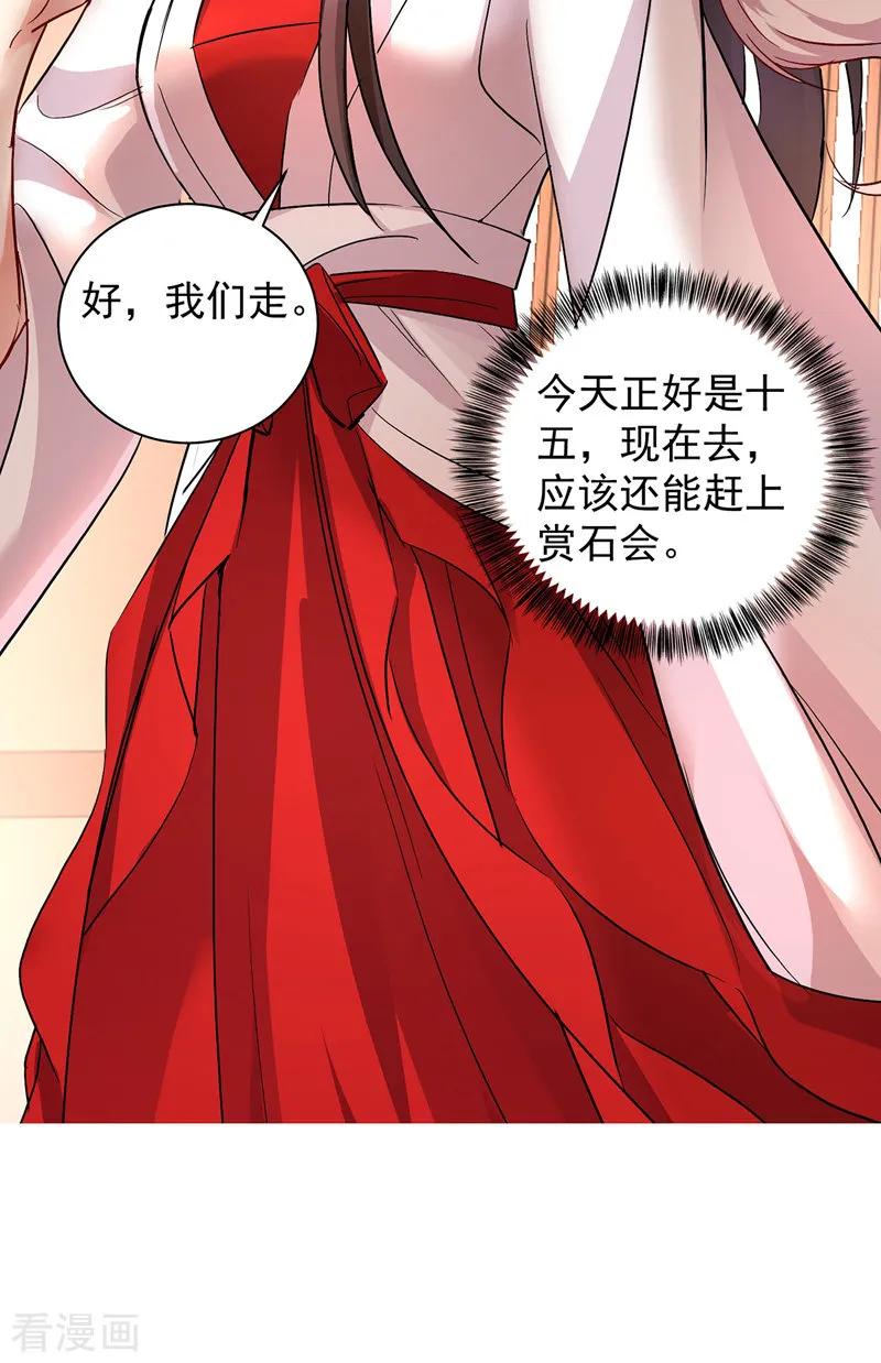 第23话去往赏石会-我在异界养男神：神医九小姐-掌阅文化（第14张）