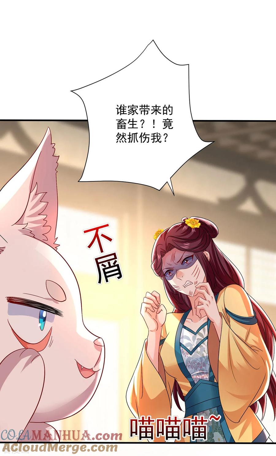第254话他到底是谁？-我在异界养男神：神医九小姐-掌阅文化（第23张）