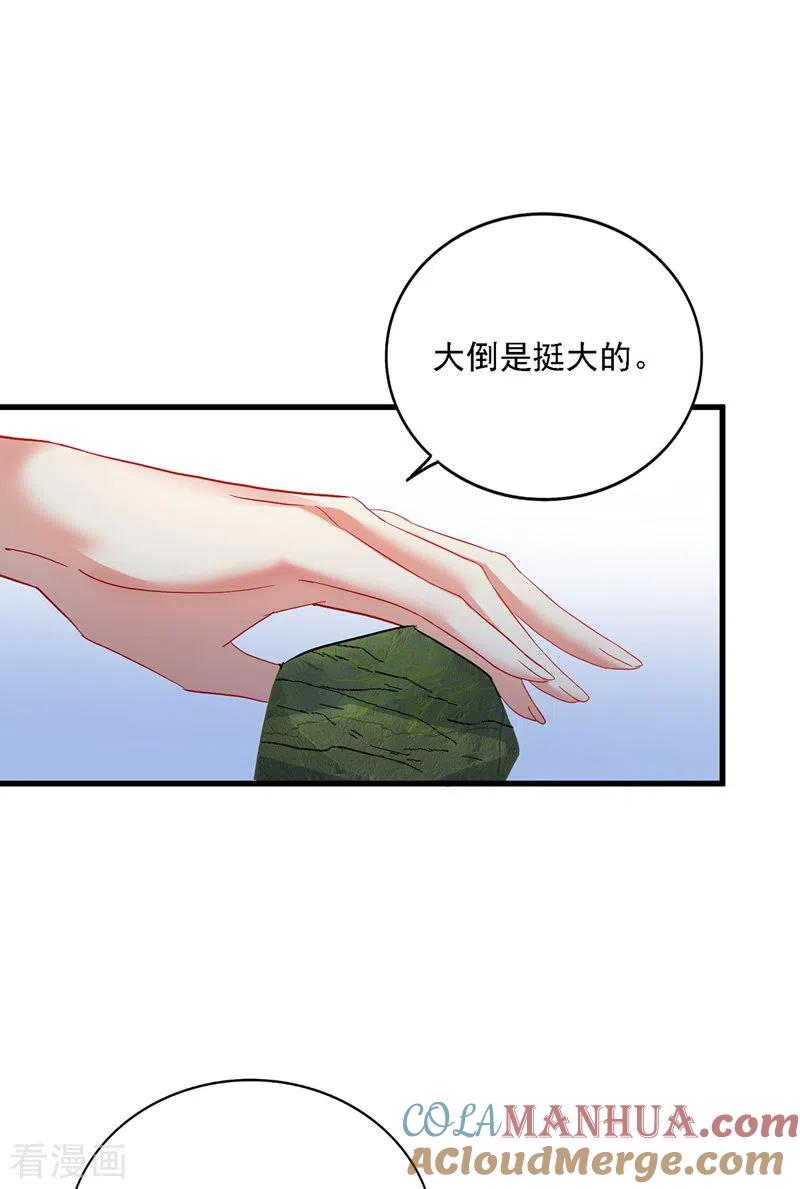 第26话解石-我在异界养男神：神医九小姐-掌阅文化（第19张）