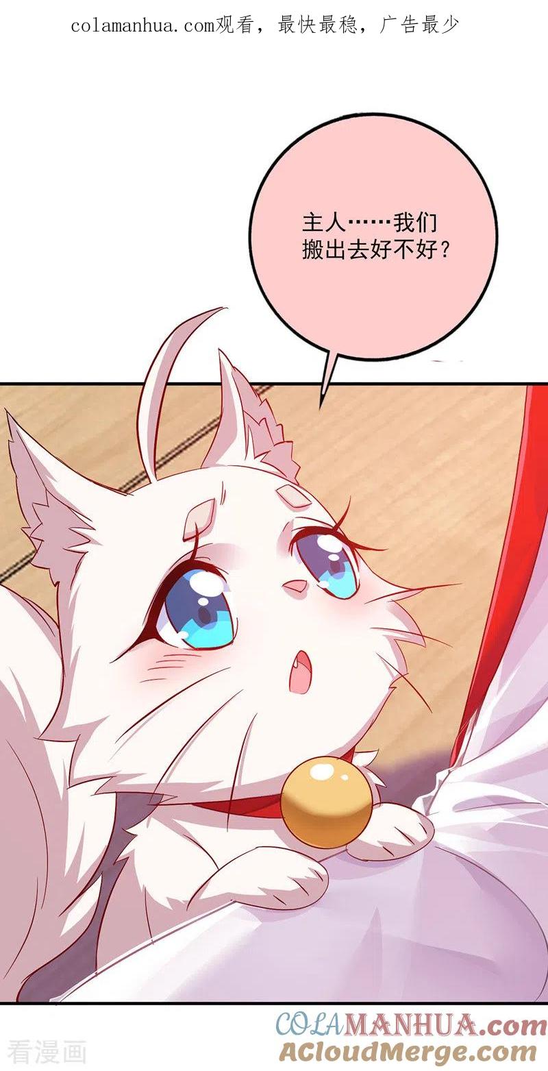 第50话小猫化虎-我在异界养男神：神医九小姐-掌阅文化（第1张）