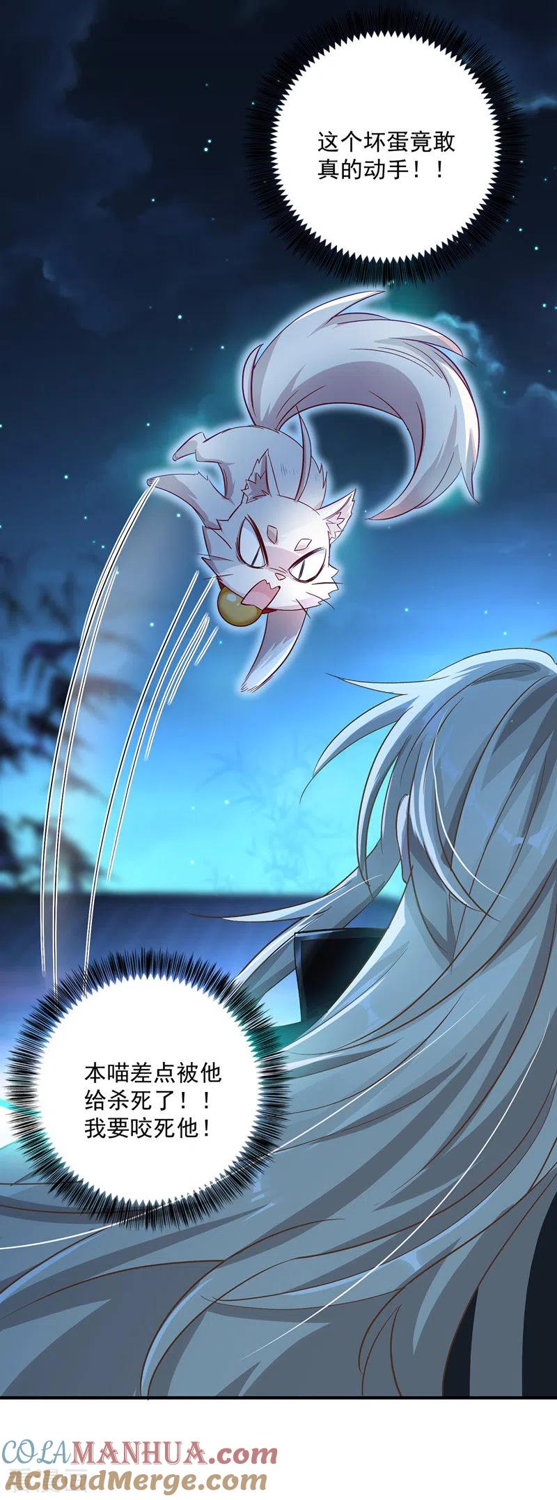 第50话小猫化虎-我在异界养男神：神医九小姐-掌阅文化（第15张）