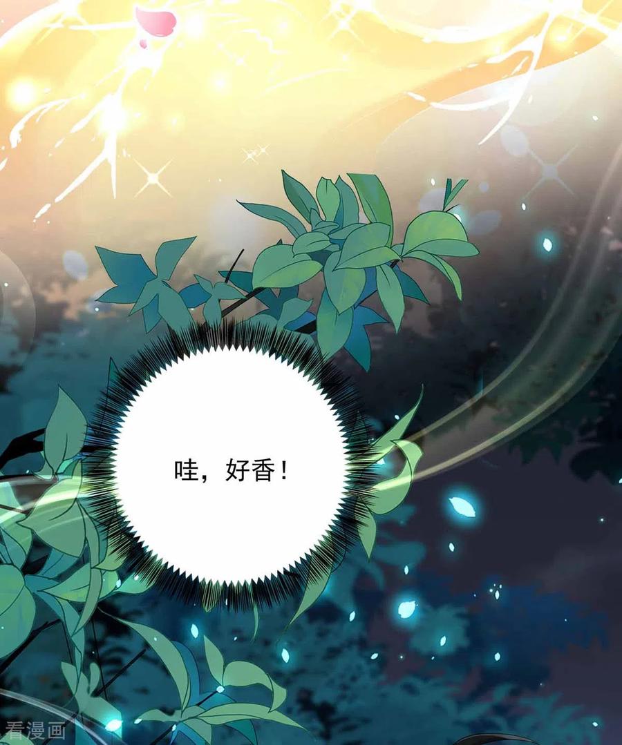 第78话选夫标准-我在异界养男神：神医九小姐-掌阅文化（第8张）