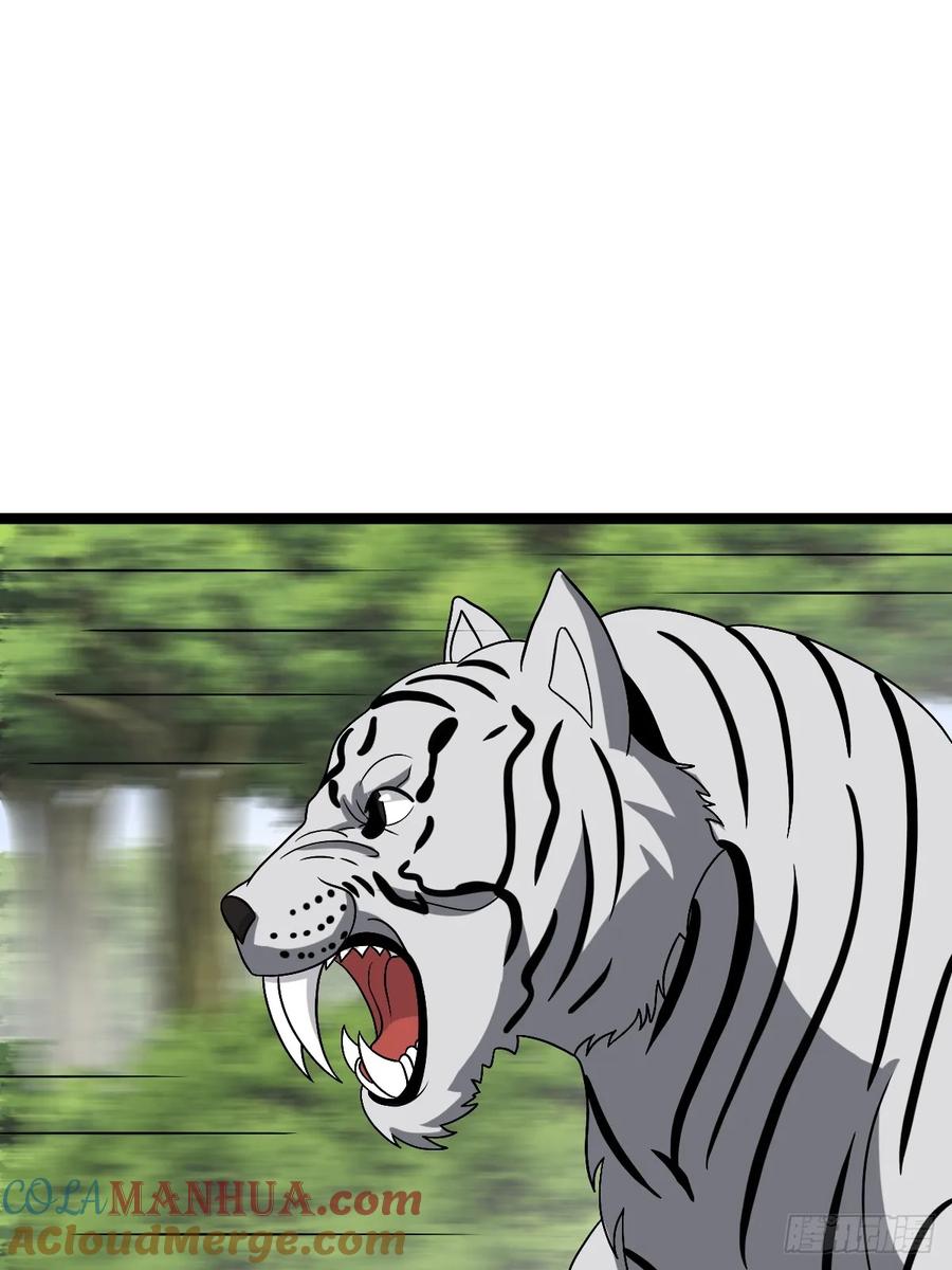 46.jpg