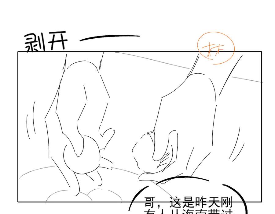 96.jpg