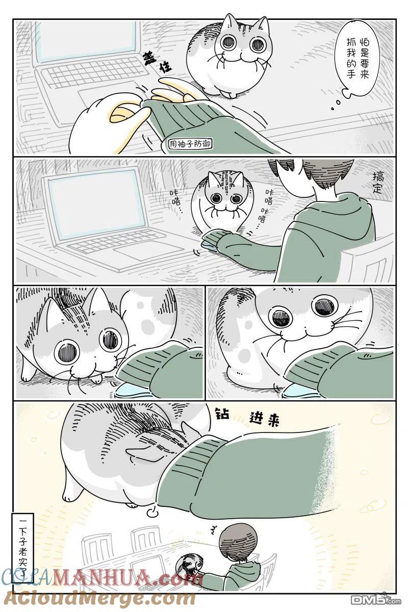 第111话-关于养猫我一直是新手-キュルZ（第1张）