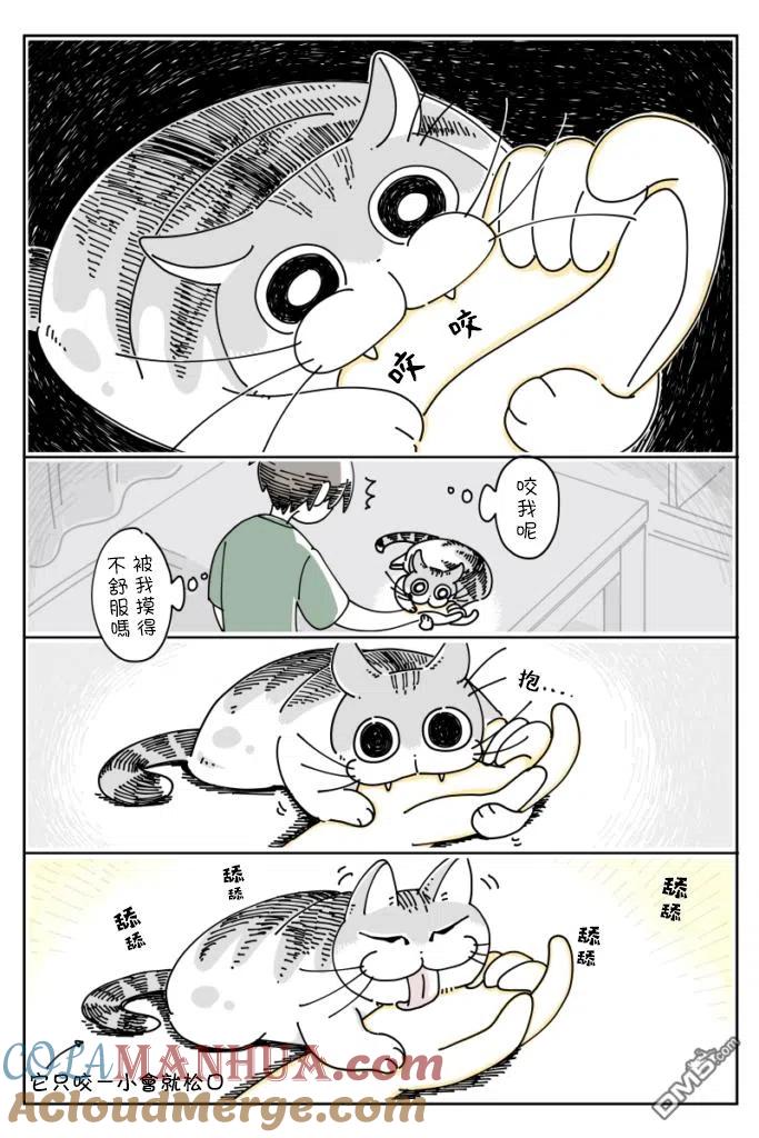 第22话-关于养猫我一直是新手-キュルZ（第1张）