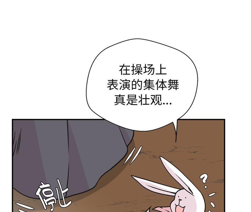 第80话激烈的战斗-奇妙的动物高中-一漫文化（第8张）