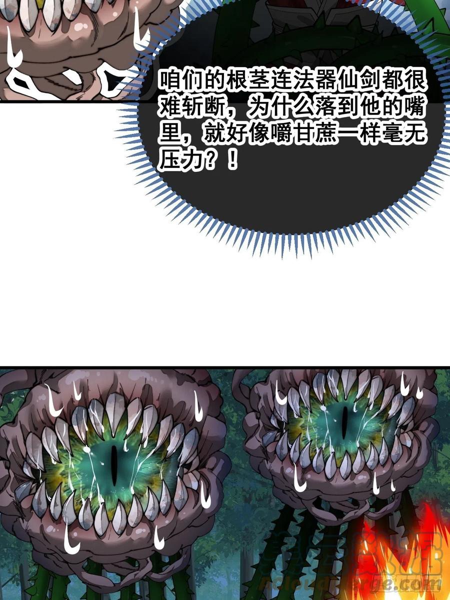 43.jpg