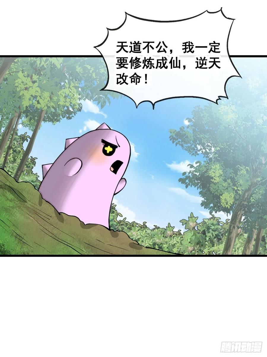 35.jpg