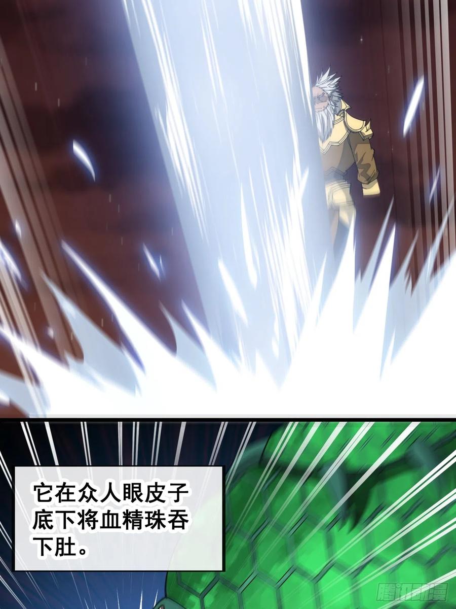 35.jpg